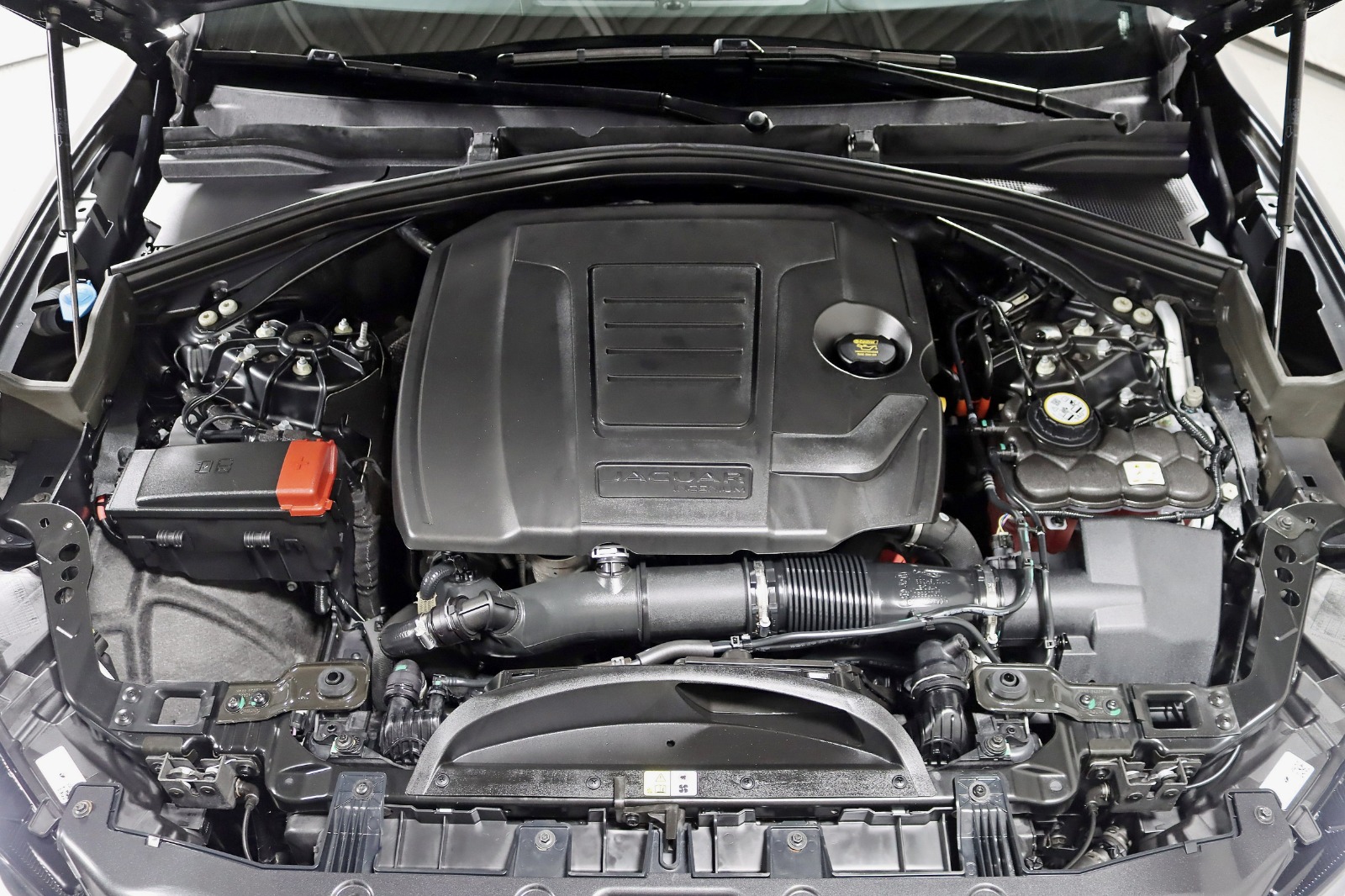 2025 JAGUAR F-PACE - Image 41