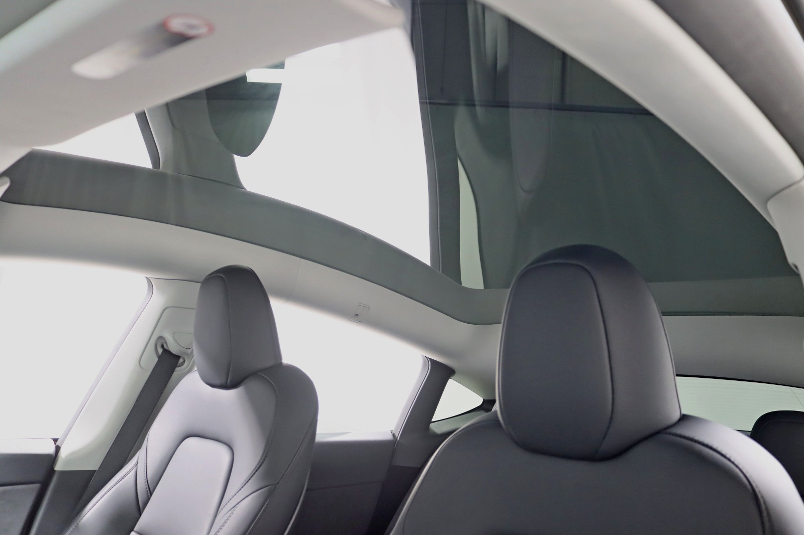 2023 TESLA MODEL Y - Image 28