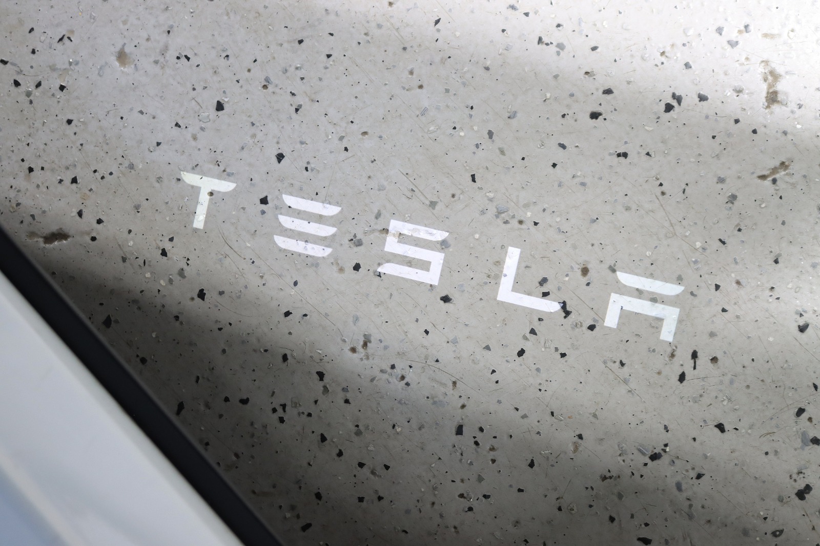 2022 TESLA MODEL Y - Image 38